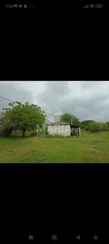 Área com 12,5 Hectares em Petrolina/PE! - Foto 5