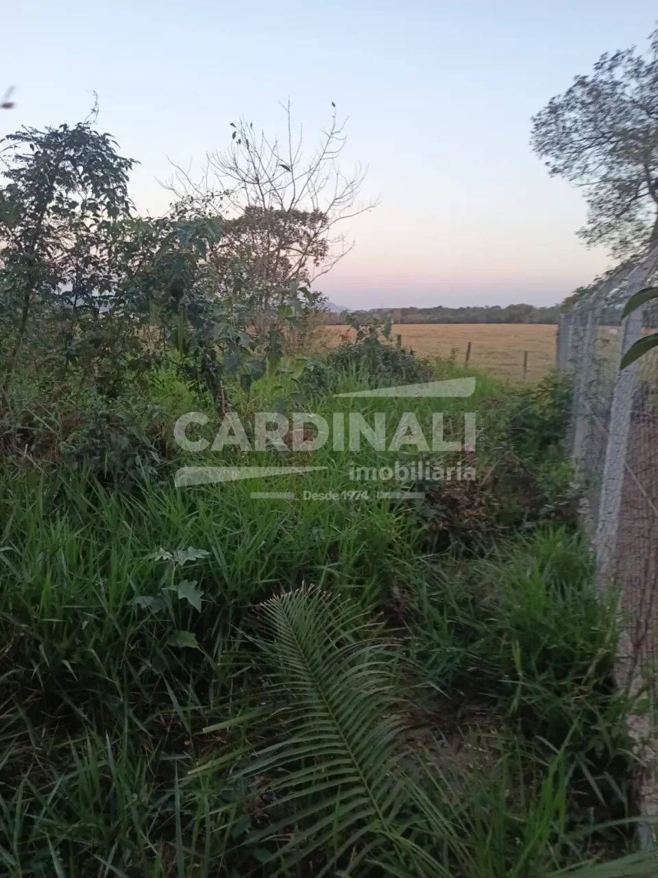 Terreno Padrão em Brotas - Foto 5
