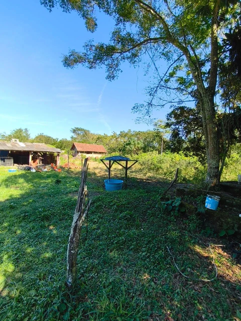 Terreno de Grande Porte com Viabilidade Residencial e Comercial - Foto 3