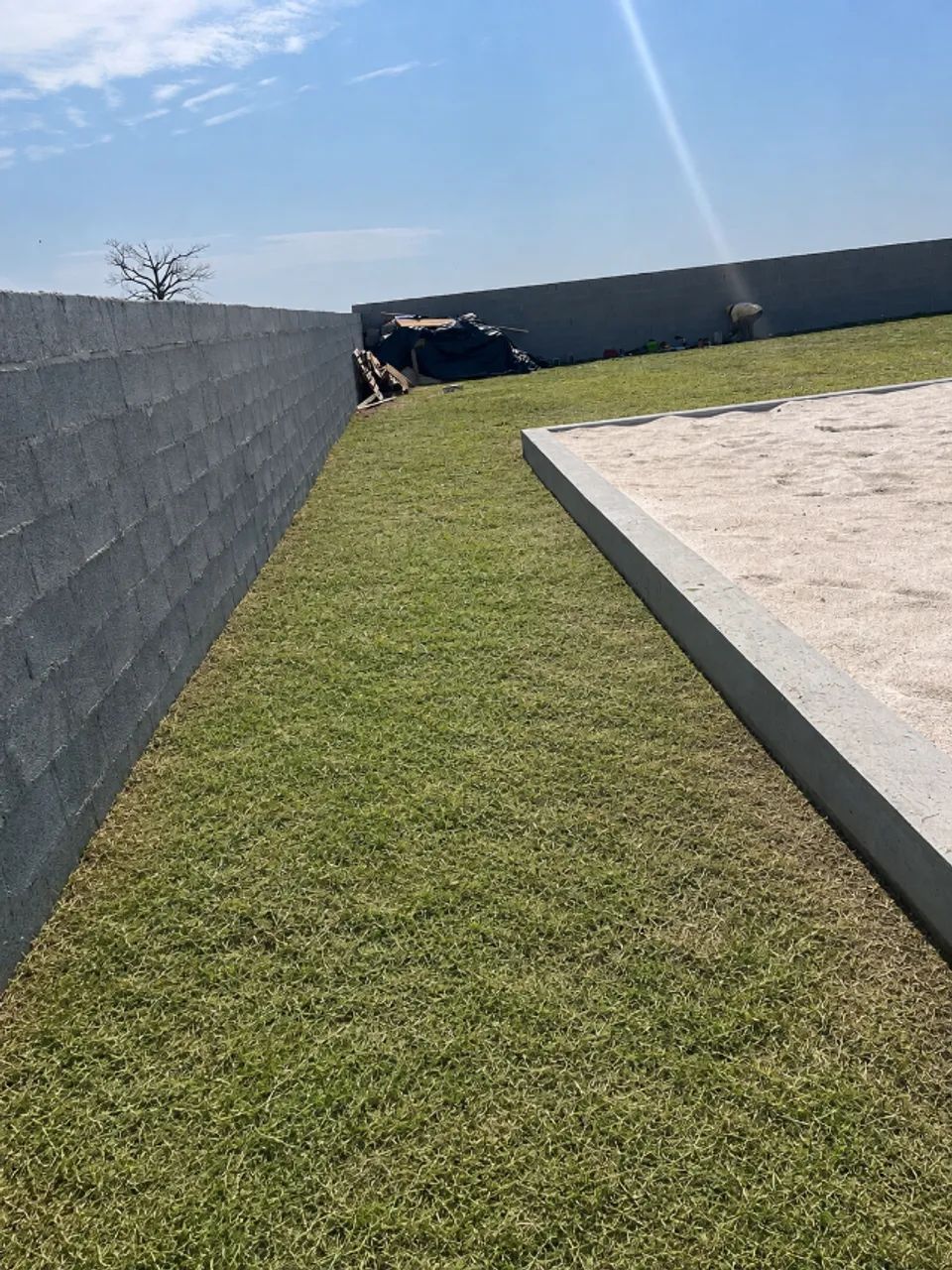 Jardinagem  - Foto 2