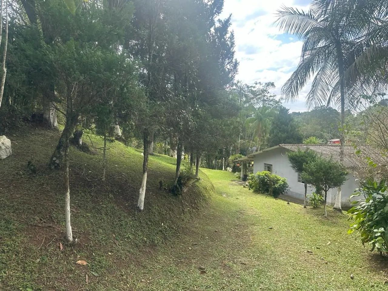 Foto - Mogi das Cruzes - Biritiba Ussu