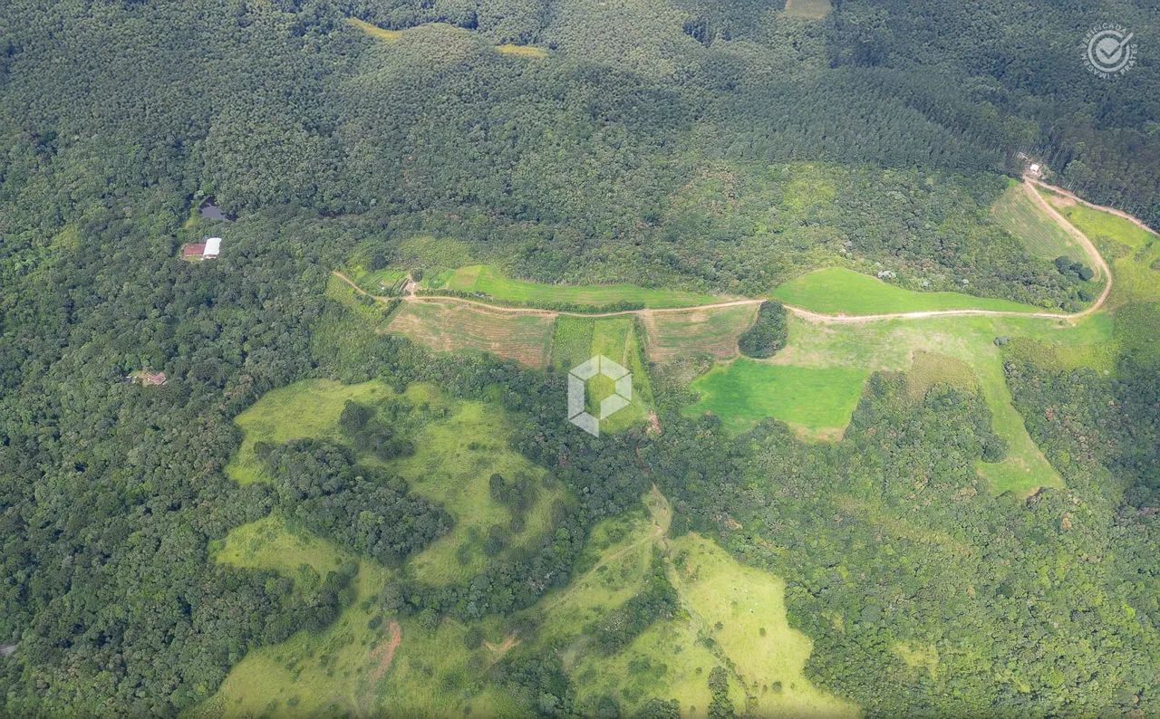 Viva com tranquilidade em São Luiz do Purunã - Foto 2