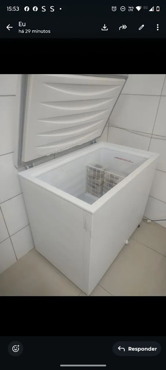 Freezer Eletrolux  - Foto 2