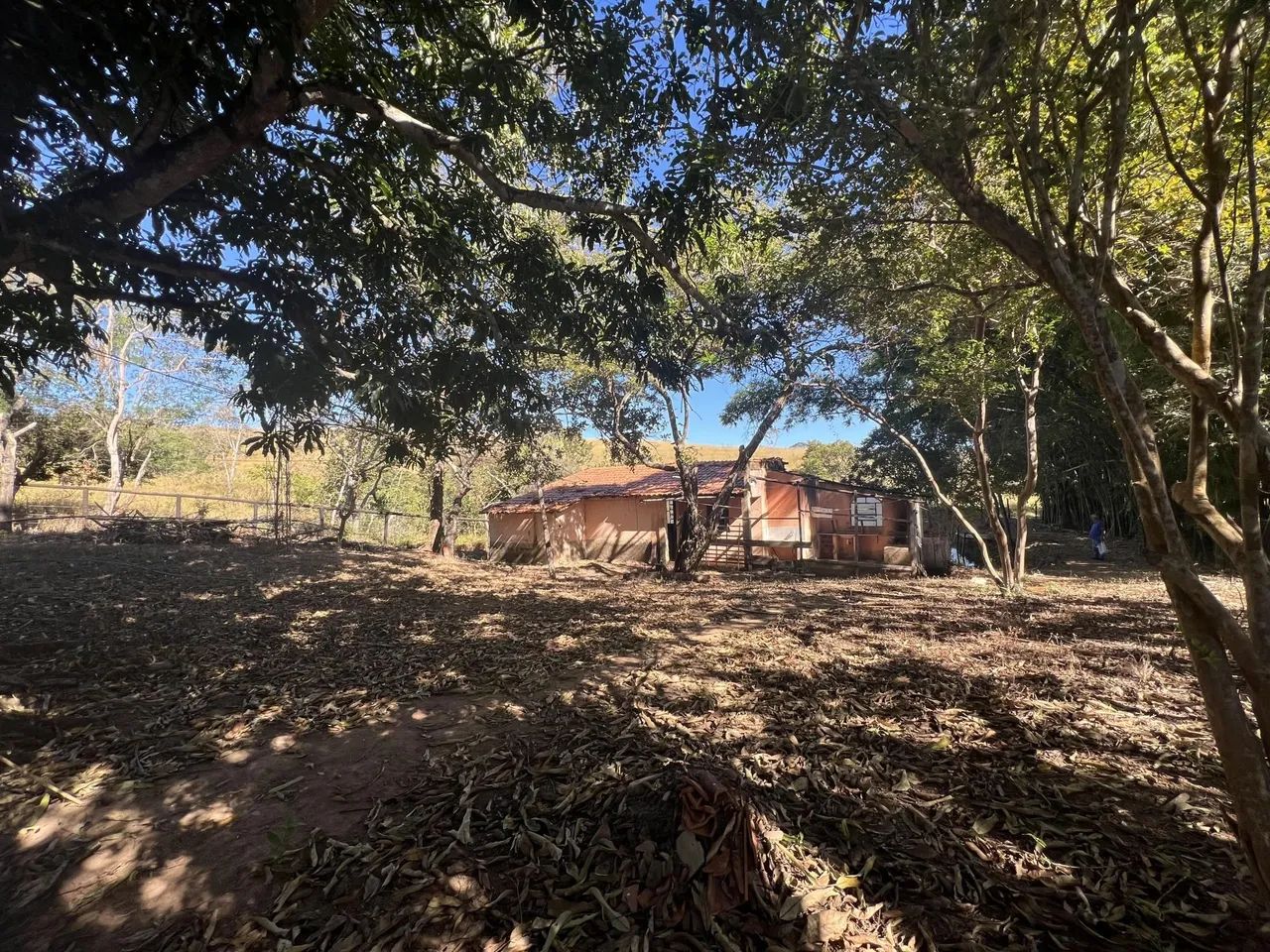 Oportunidade única! Chácara rural - Foto 4