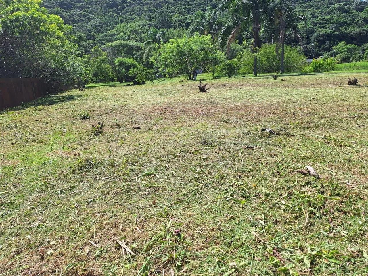Terreno de 375m² no Pântano do Sul. - Foto 3