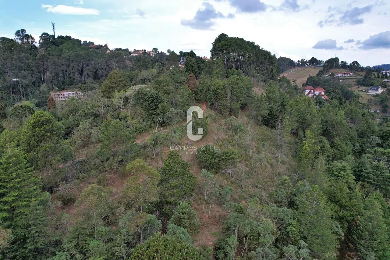 Área para incorporação à venda, 16.805 m², R$ 8.000.000,00, ao lado do Cantrinho do Capiva - Foto 2