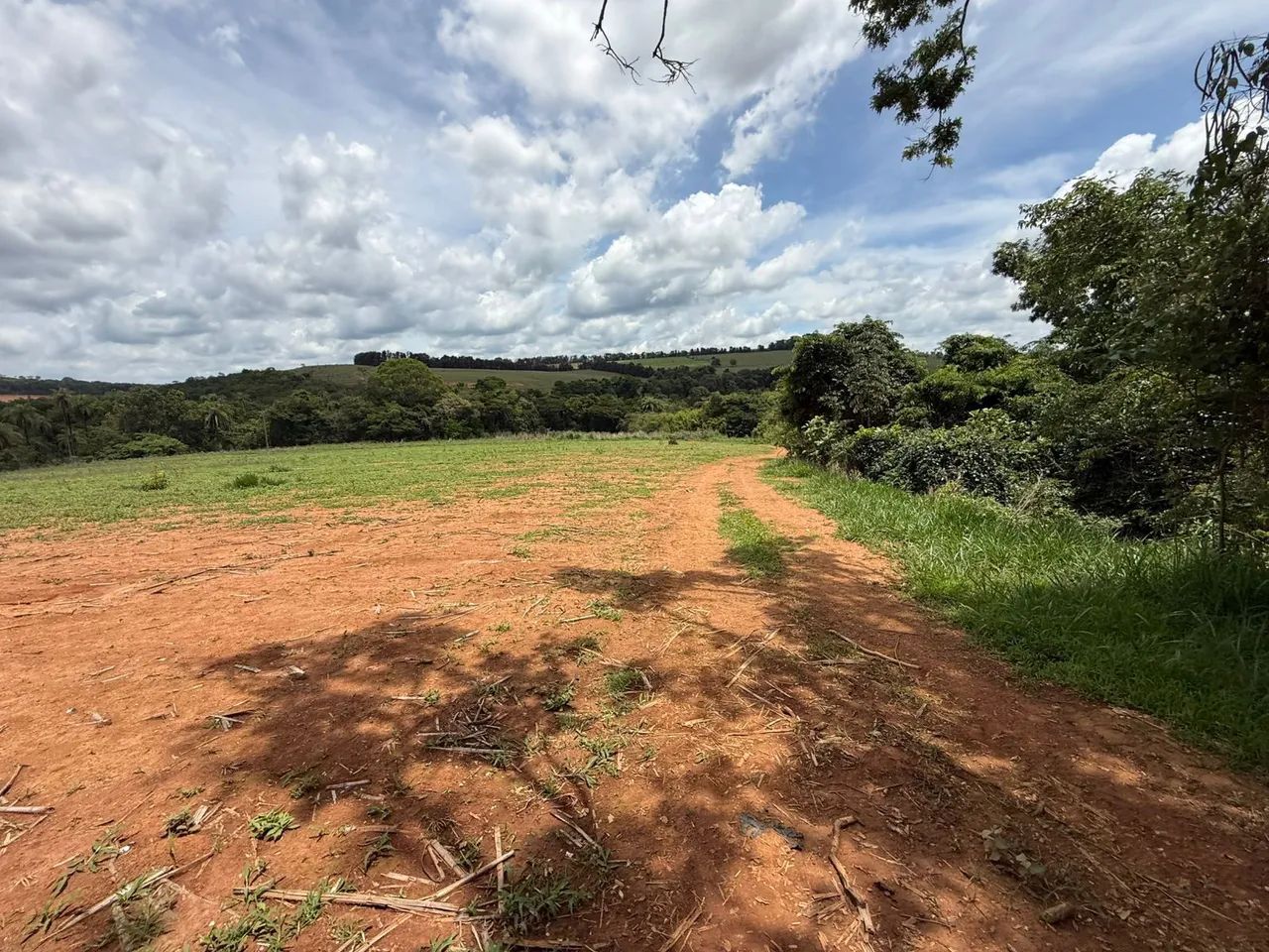 Fazendinhas rurais em florestal  - Foto 4