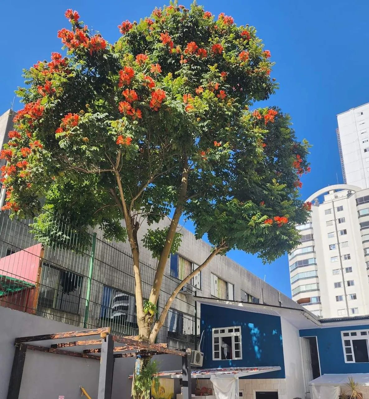 Pousada centro de Balneario Camboriú-Sc  - Foto 3