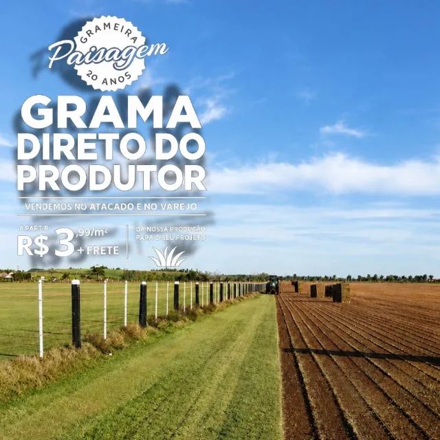 Grama Esmeralda 