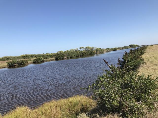 Ótima propriedade em Boa Vista com 55 alqueires - Foto 6