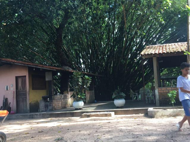 Axixá - Maranhão: Excelente Fazenda p/ Vender - Foto 16