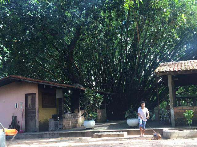 Axixá - Maranhão: Excelente Fazenda p/ Vender - Foto 15