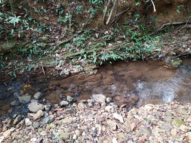 Terreno Rural/fazendinhas financiadas em Jaboticatubas - MVT - Foto 11