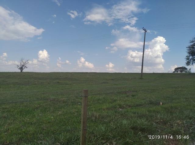 Vendo fazenda 250 alqueires próxima a presidente prudente - Foto 9