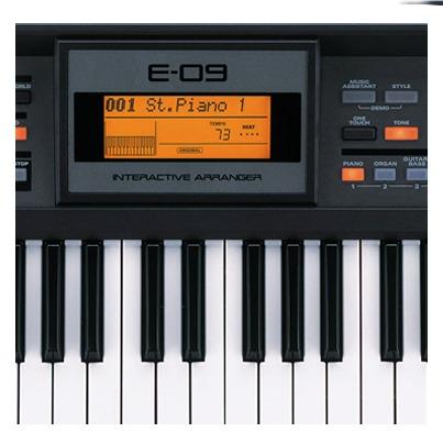 Teclado Roland E-09