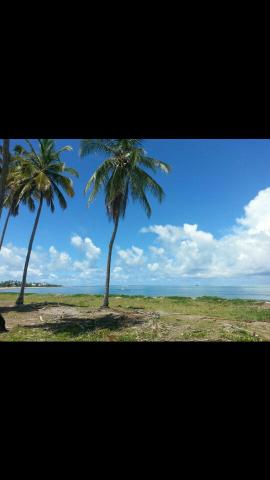 Praia de Serrambi - Foto 10