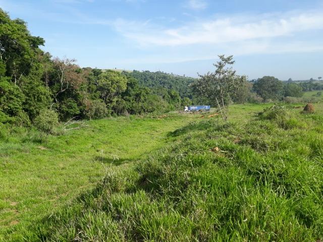 Área 20.000 m2 ao lado da walita em frente à rodovia BR 491 - Foto 4
