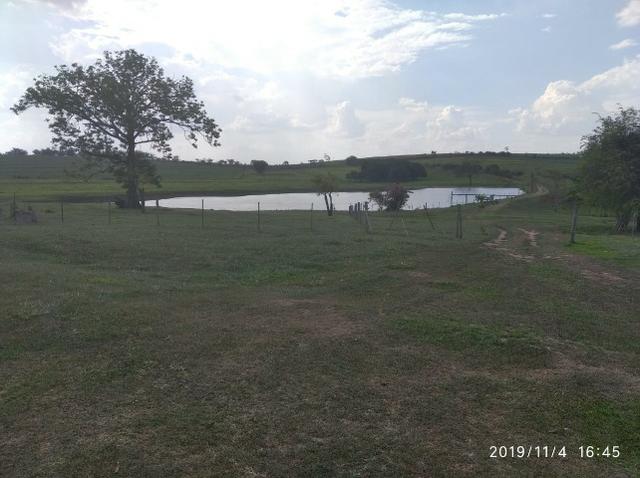 Vendo fazenda 250 alqueires próxima a presidente prudente - Foto 2
