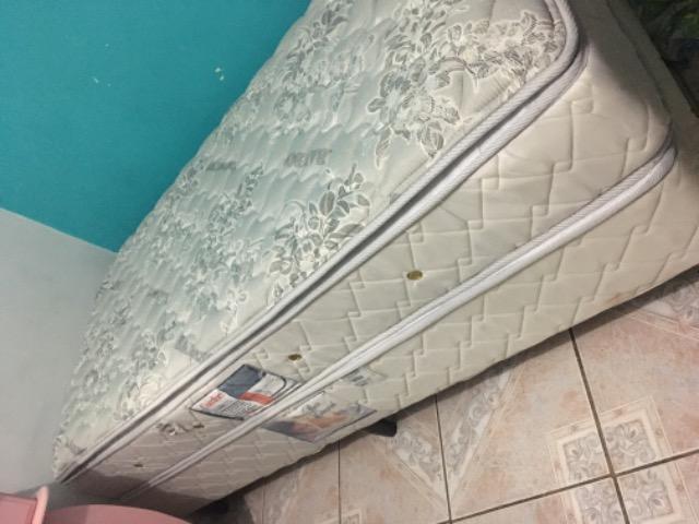 Cama box