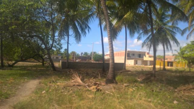 Terreno na Praia de Peroba em Maragogi - Foto 2