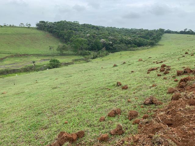 Lotes de terrenos com 5 mil metros - ideal para sua chacara,preço indiscutivel!!! - Foto 2