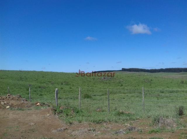 Vendo este excelente e magnífico campo, um verdadeiro paraíso, com a área de 150 hectares - Foto 3