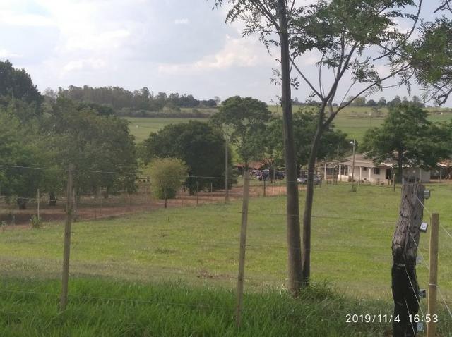 Vendo fazenda 250 alqueires próxima a presidente prudente - Foto 7