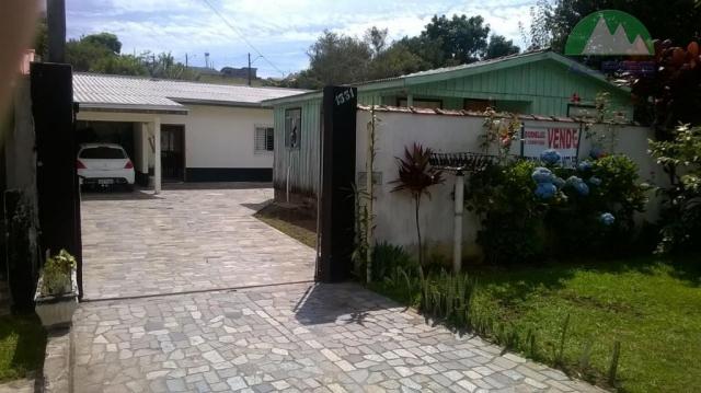 Terreno residencial à venda, pinheirinho, curitiba. - Foto 6