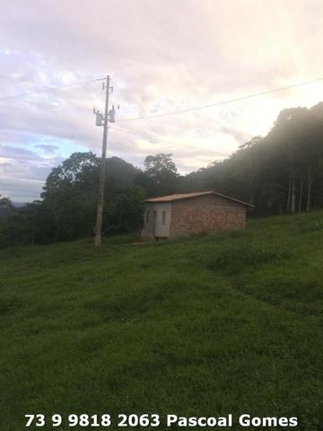 Fazenda a venda Bahia 30 hectares - Foto 5