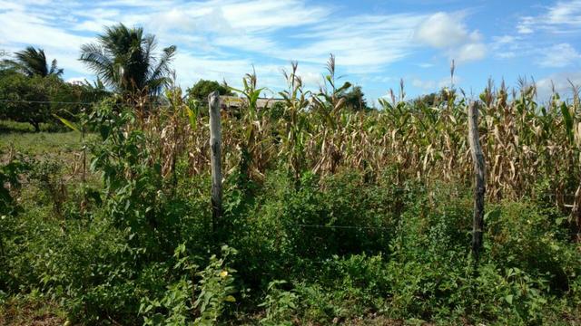 Granja 7 hectares, Casa simples,próximo a RN 064, Cercada - Foto 5