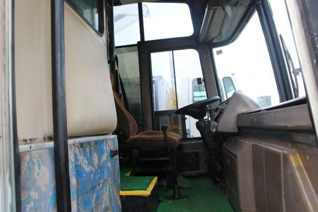 Onibus dipromata nielson - Foto 6