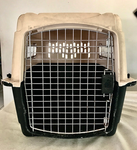 Caixa de Transporte para cães - média
