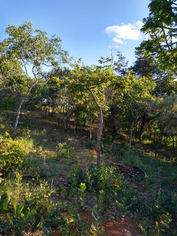 Sítio na região da Serra do Cipó - Foto 6