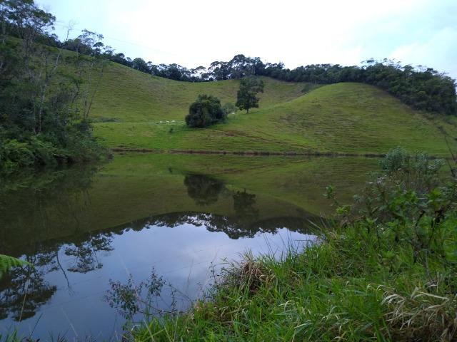 Fazenda Viana 20 alqueires - Foto 11