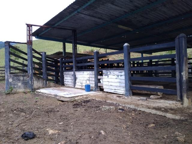 Fazenda Viana 20 alqueires - Foto 12
