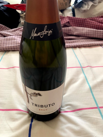 Espumante Tributo Brut Marco Luigi 750ml 