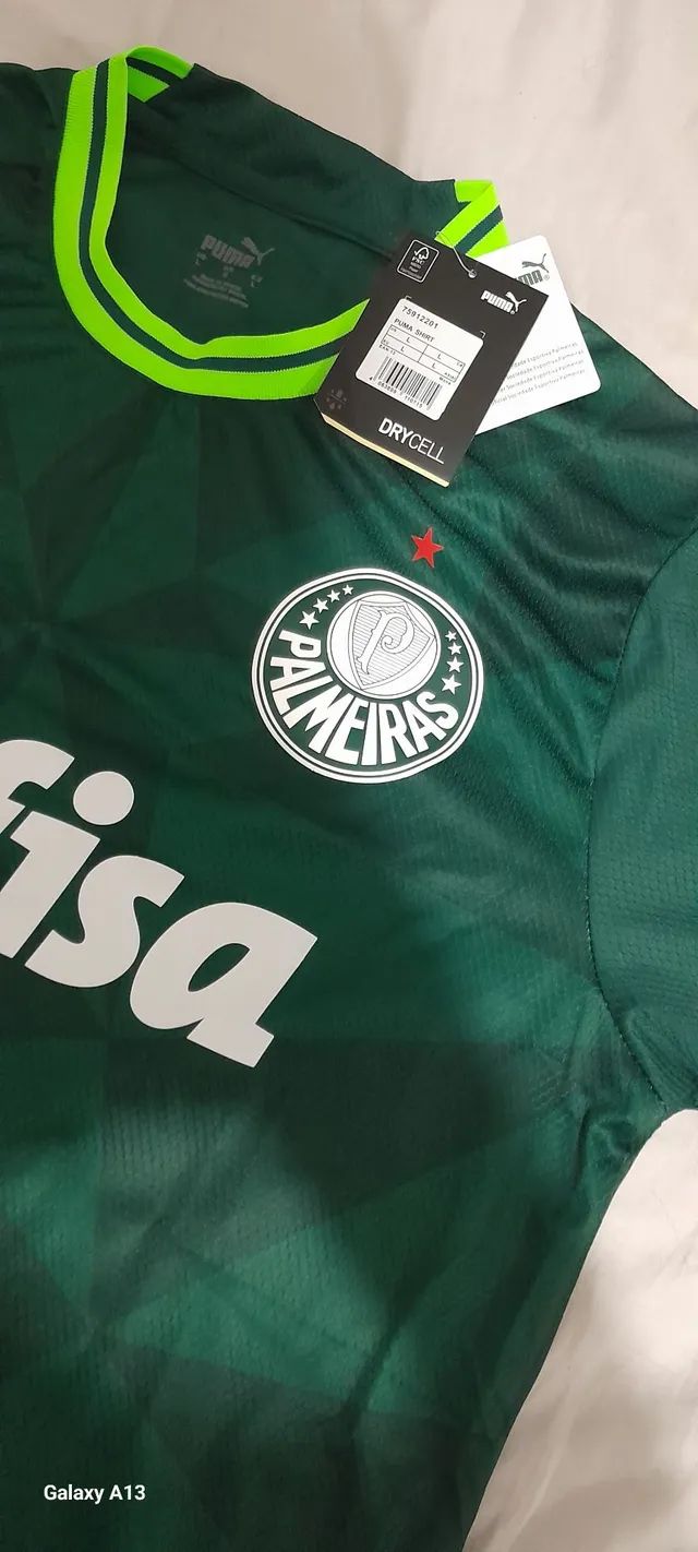 140 ideias de Palmeiras  palmeiras, fotos do palmeiras, verdão palmeiras