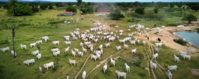 Fazenda em Rondonopolis - Mato Grosso, à venda com 2500ha