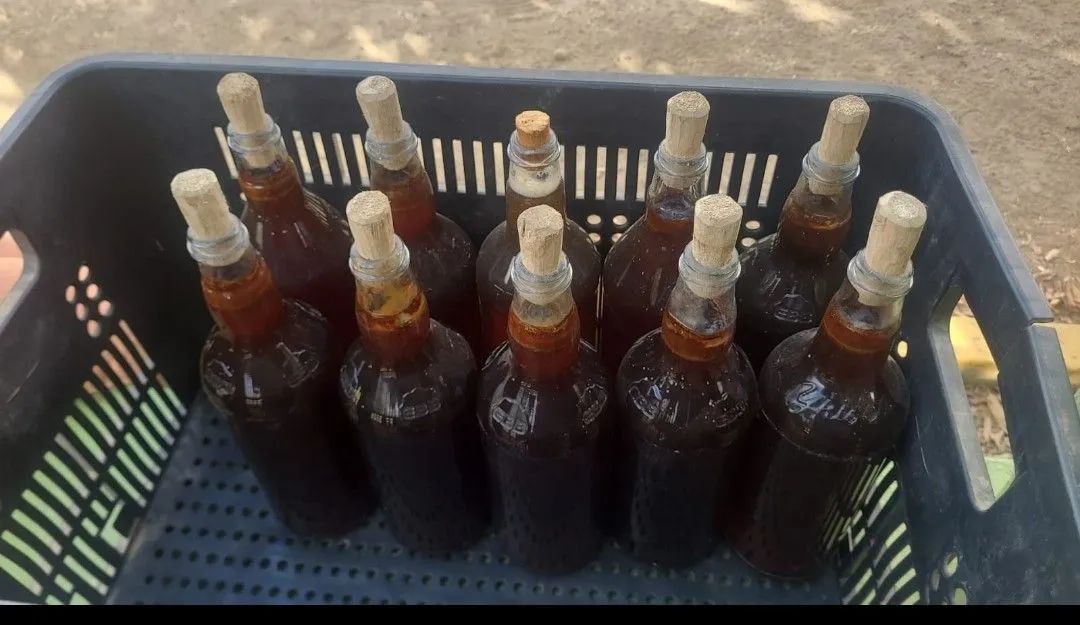 Mel,Já disponível - Foto 4