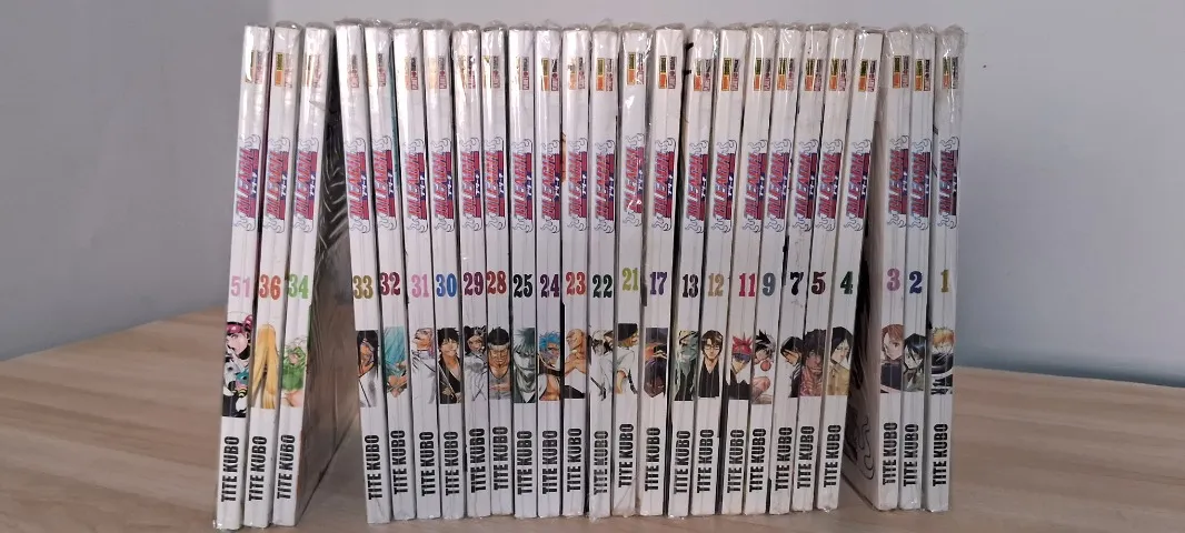 Bleach Mangás (25 Volumes)