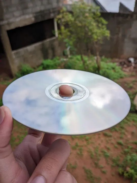 Destiny para Xbox 360 - Foto 4