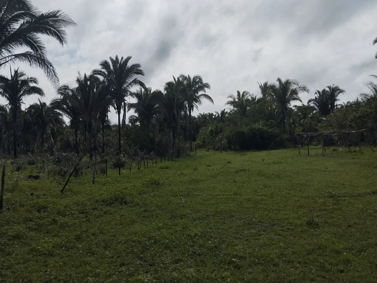 Propriedade 8 km de Vargem grande estrada entra inverno verão
