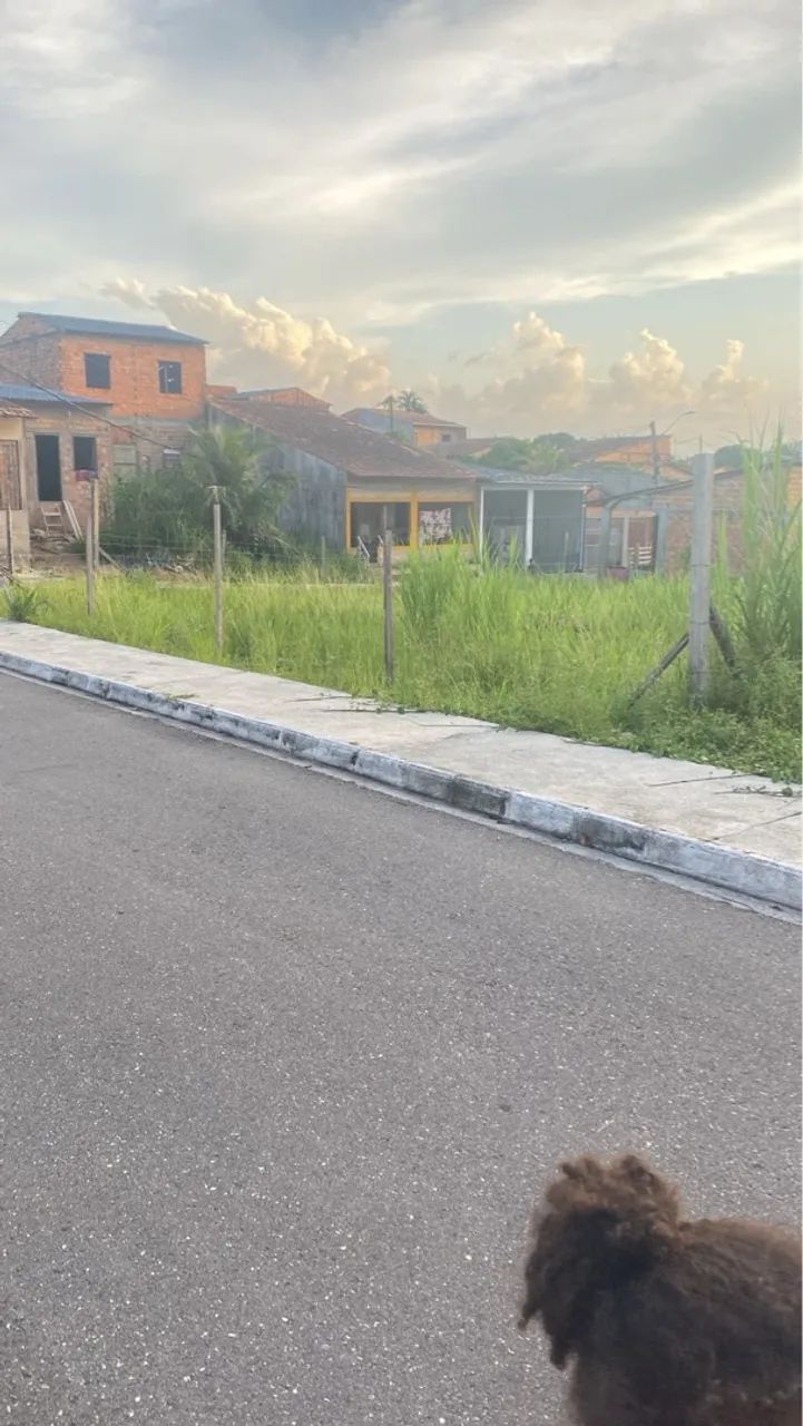 Foto - Belém - Tenoné