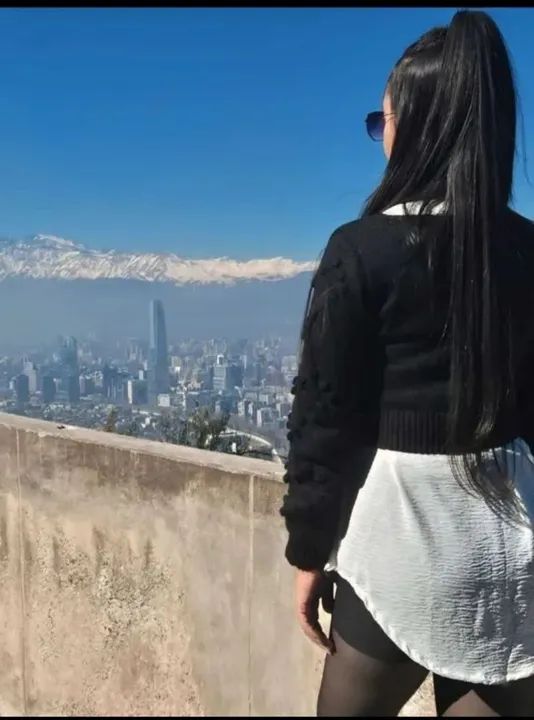 Mudas de Abacate do CHILE exclusiva - Foto 5