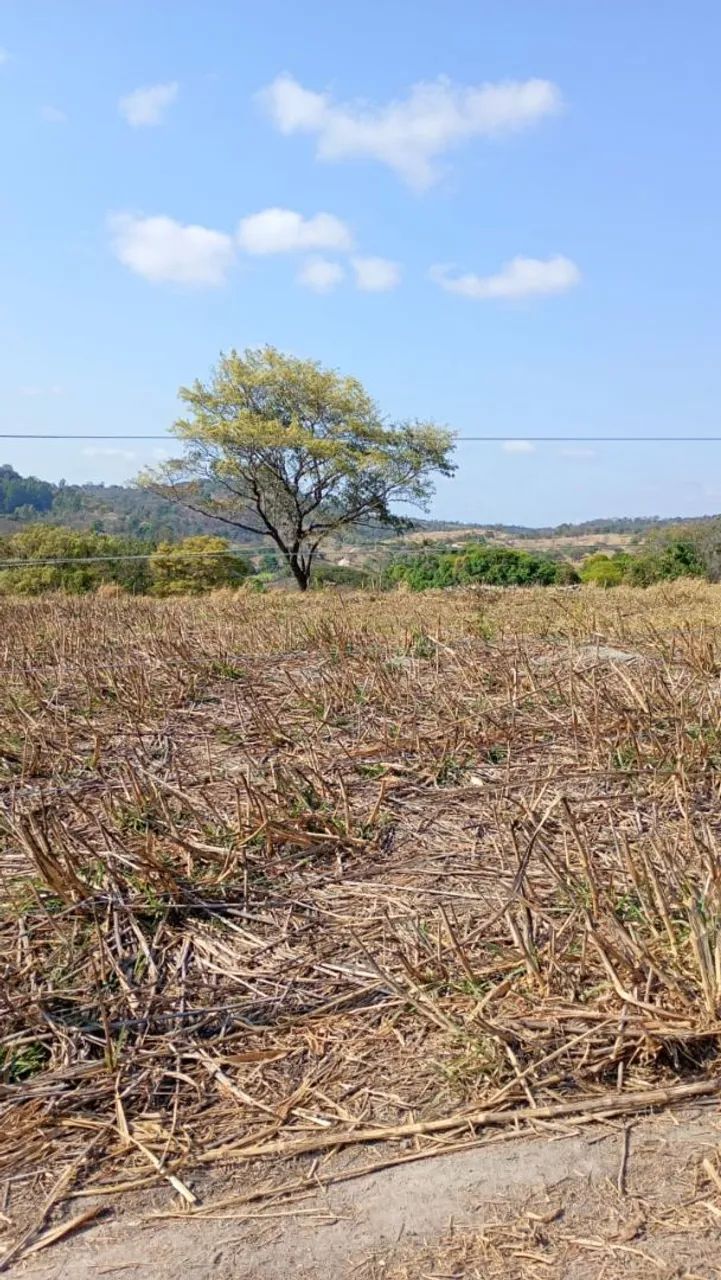 Terreno rural em para de minas  - Foto 4