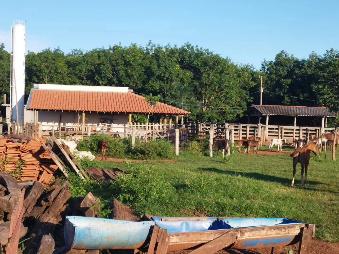 Imóvel para venda possui 163592 metros quadrados em Zona Rural - Américo de Campos - SP