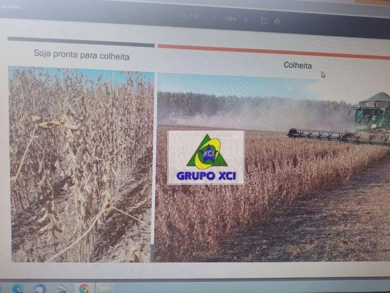 Fazenda Santa Terezinha - Foto 4