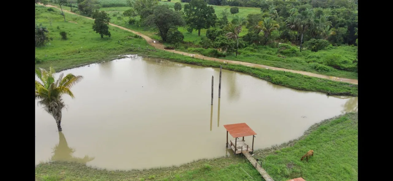 Vendo fazenda 156 alqeres