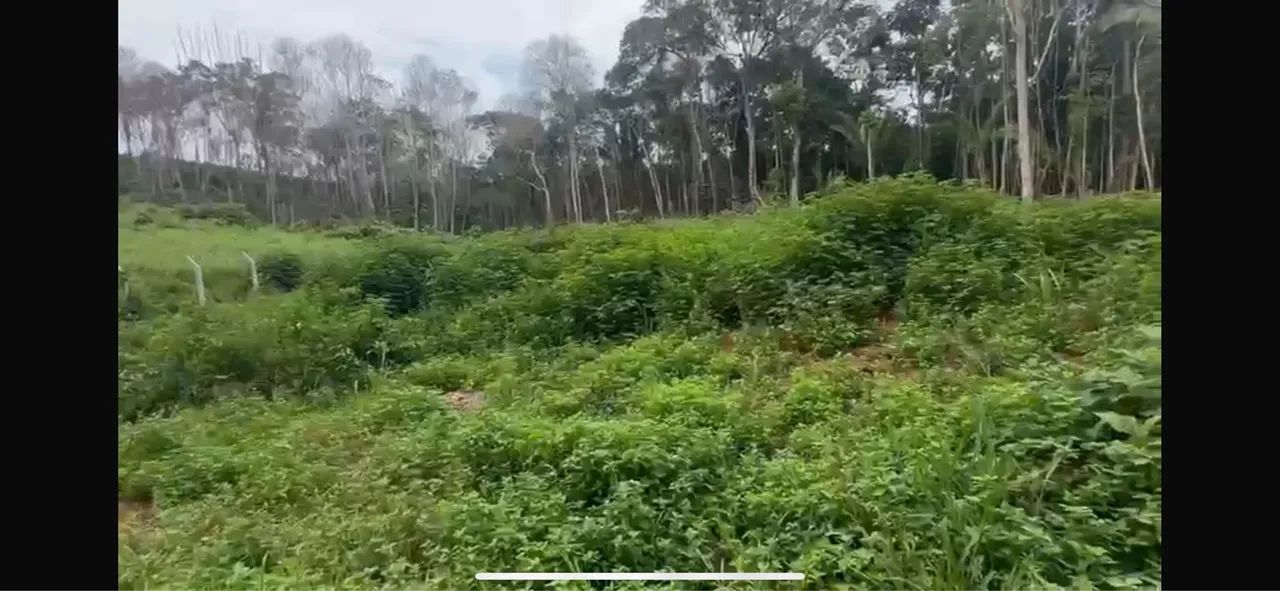 ((> CONDOMÍNIO DE CHÁCARAS 50x100 NO ASFALTO COM PORTEIRA < )) - Foto 2