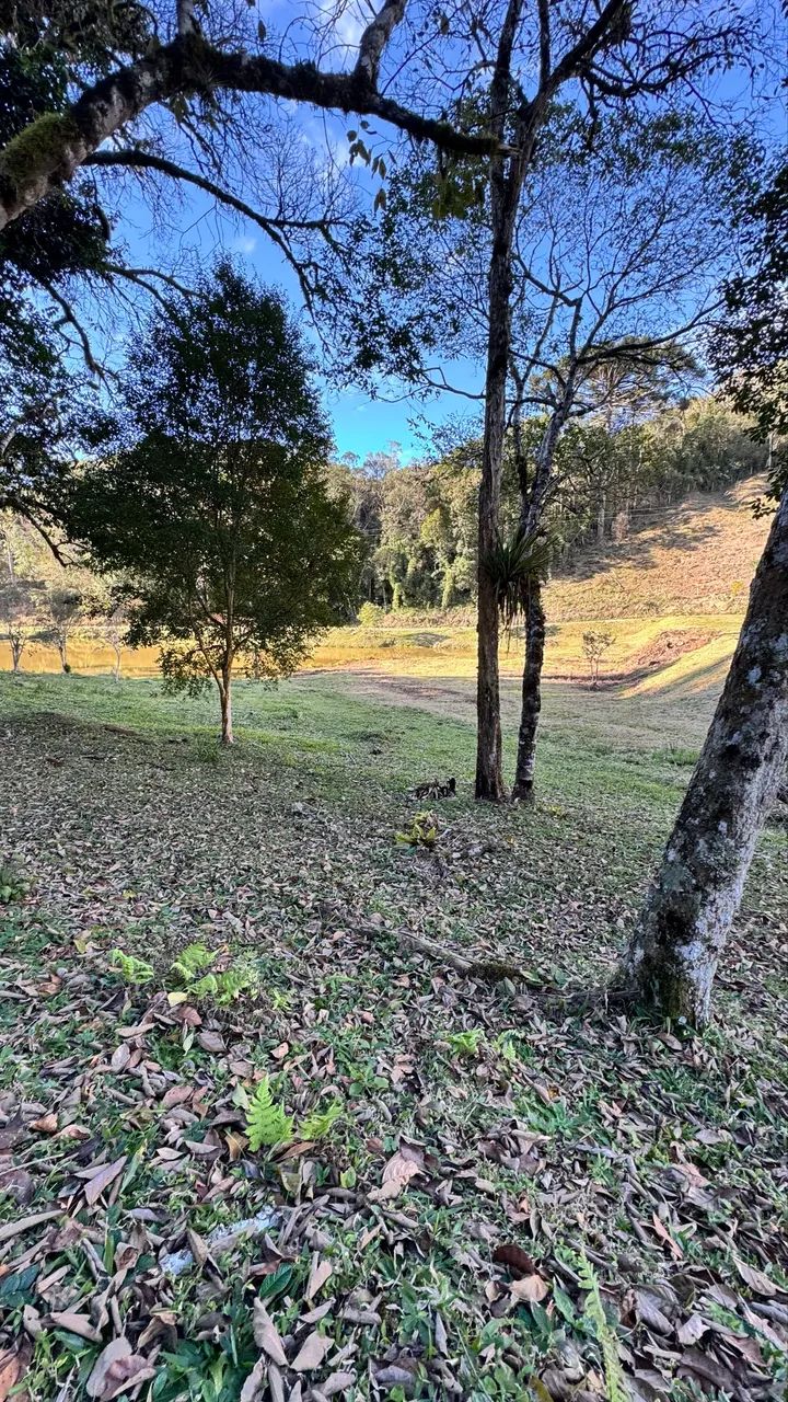 Foto - Campina Grande do Sul - 